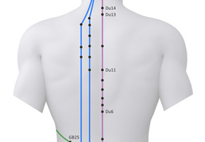 Akupunkturpunkte am Rücken